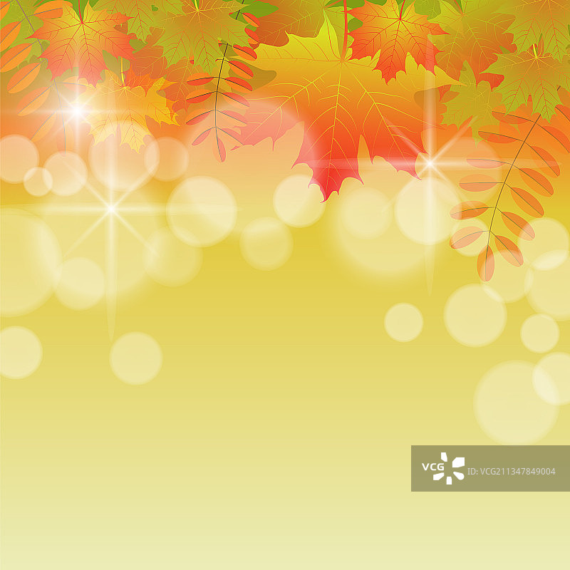 秋天的背景与飞舞的树叶图片素材