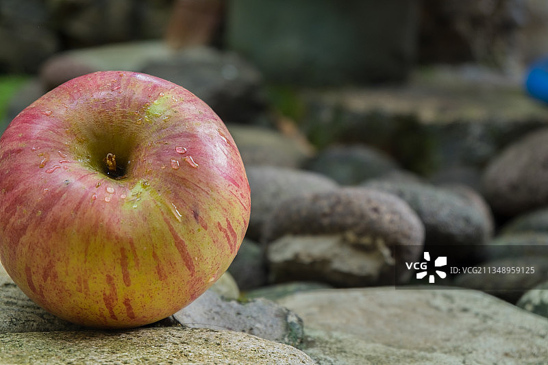苹果在岩石上的特写，印尼三宝垄图片素材
