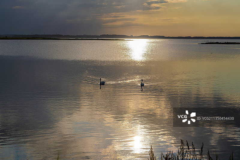 德国，Amt Geltinger Bucht，落日时，湖面上游泳的鸟儿的剪影图片素材