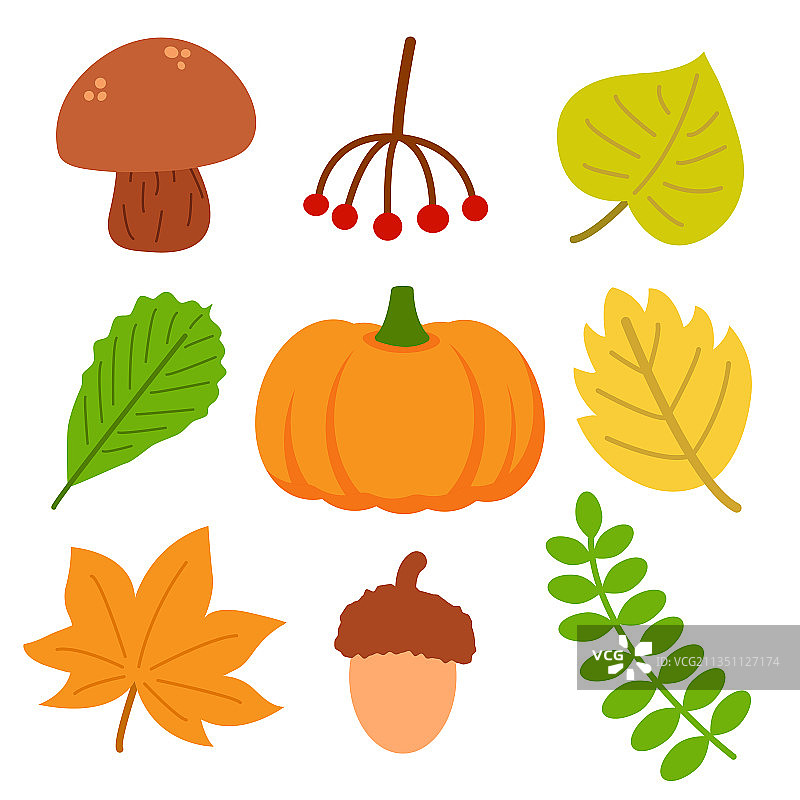 集合不同的秋季自然元素图片素材