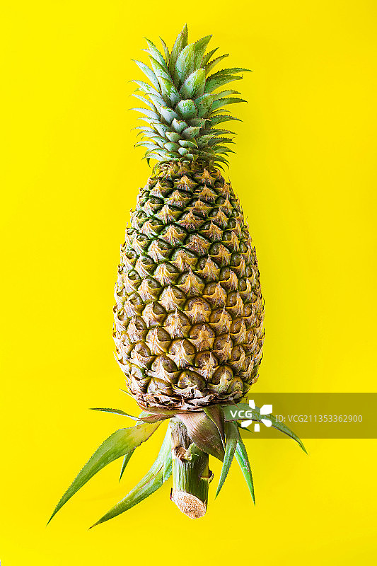 泰国沙空那空，黄色背景下的菠萝特写图片素材