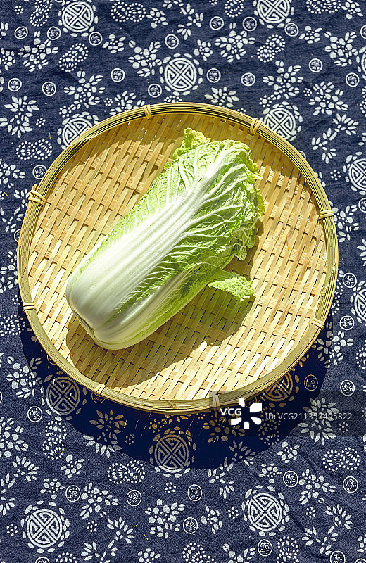 白菜 蔬菜 丰收 秋天 农业图片素材