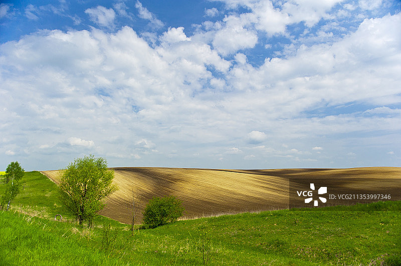 天空映衬下的农田风景图片素材