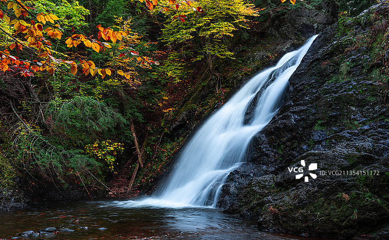 加拿大温特沃斯森林瀑布的风景图片素材