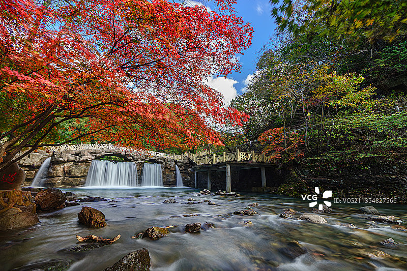 秋雨后，关门山的溪流真大，红叶在蓝天白云下也很出色图片素材