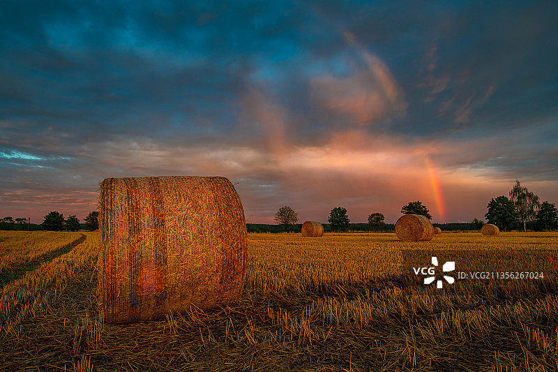 捷克共和国，日落时天空映衬下的农田风景图片素材