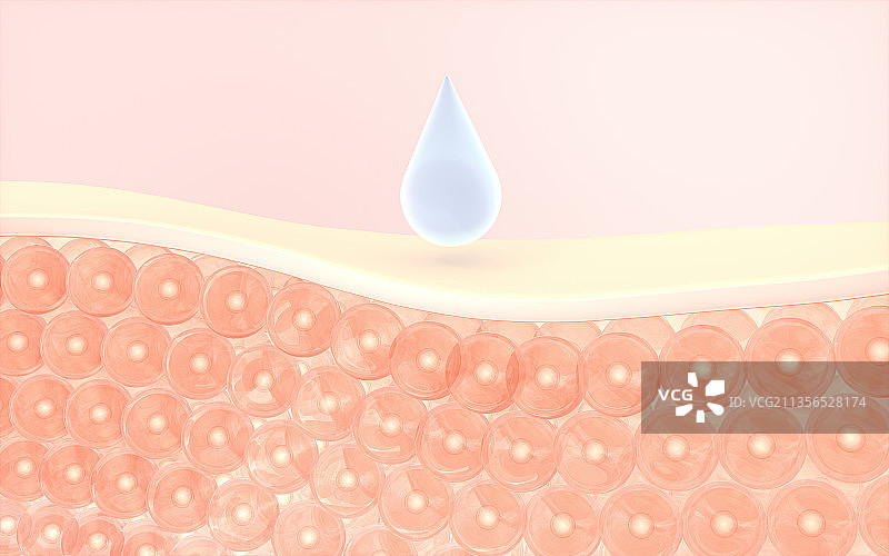 皮肤细胞与吸收的液滴 3D渲染图片素材