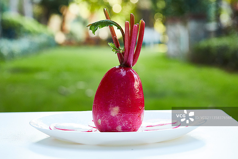 花园里新鲜有机蔬菜玫瑰红色萝卜切片摆盘的美图图片素材