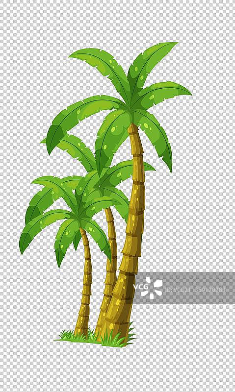 椰子树元素图片素材