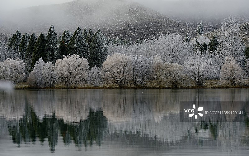 新西兰Twizel，树木映衬着天空的湖水景色图片素材