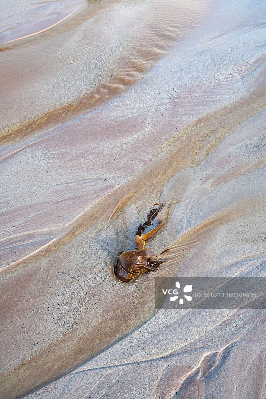 沙滩上的沙子的高角度视图，梅隆Udrigle海滩，阿奇纳欣，英国，英国图片素材