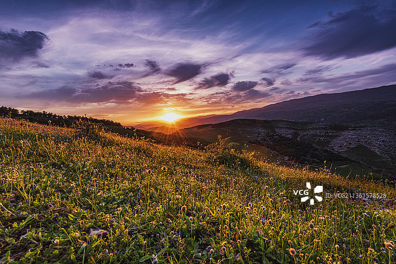 宁静的场景，风景的田野在日落时对天空，米拉，阿尔及利亚图片素材