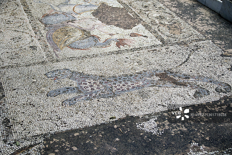 在罗马别墅的罗马之家的豹纹地板马赛克细节图片素材