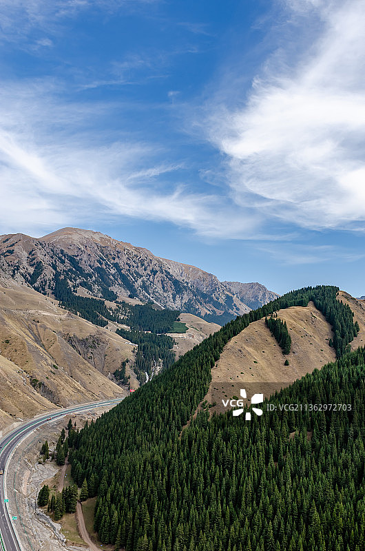 蓝天白云下的新疆维吾尔自治区伊犁的山脉和森林图片素材