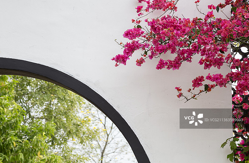 广东佛山高明盈香生态园杜鹃花与中式建筑图片素材