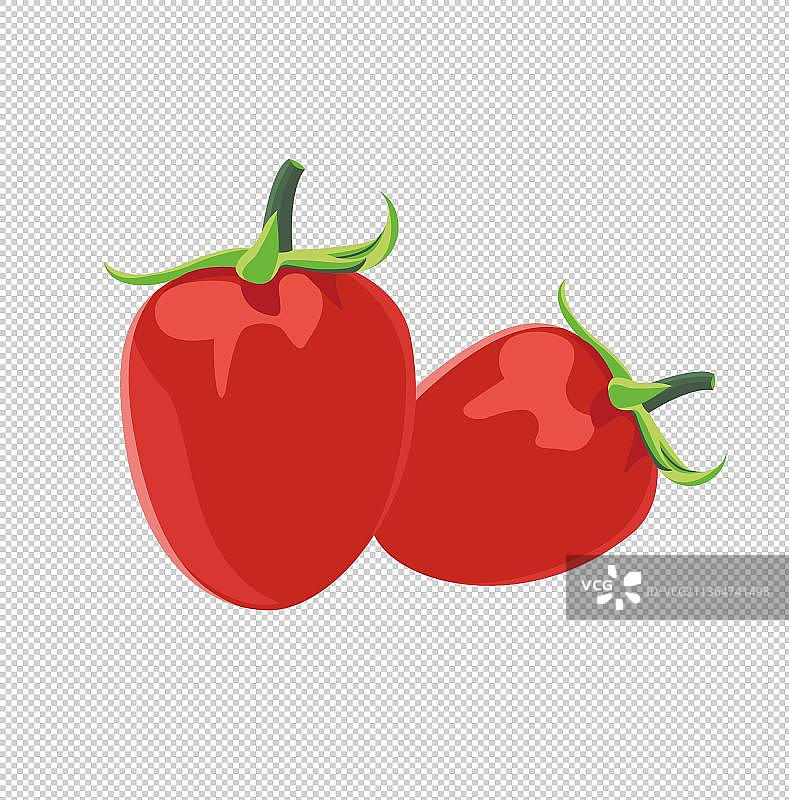 新鲜的蔬菜瓜果西红柿插画图片素材