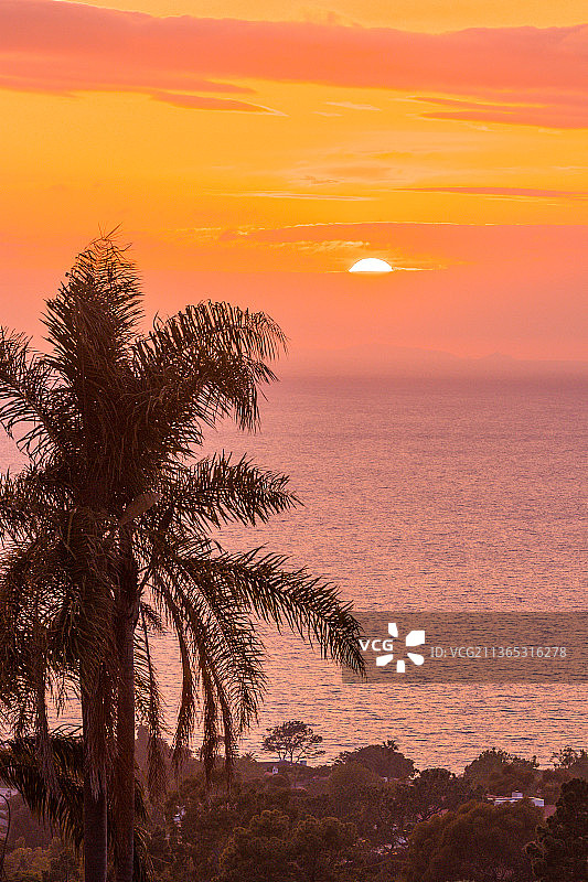 照片遍布加州，日落时棕榈树在天空映衬下海边的剪影，加州洛杉矶县，美国，美国图片素材