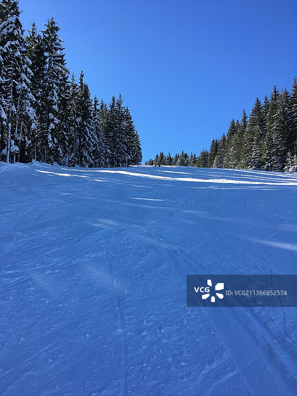 保加利亚，蓝天映衬下白雪覆盖的风景图片素材