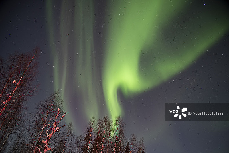 低角度的北极光对天空夜间，拉皮，芬兰图片素材