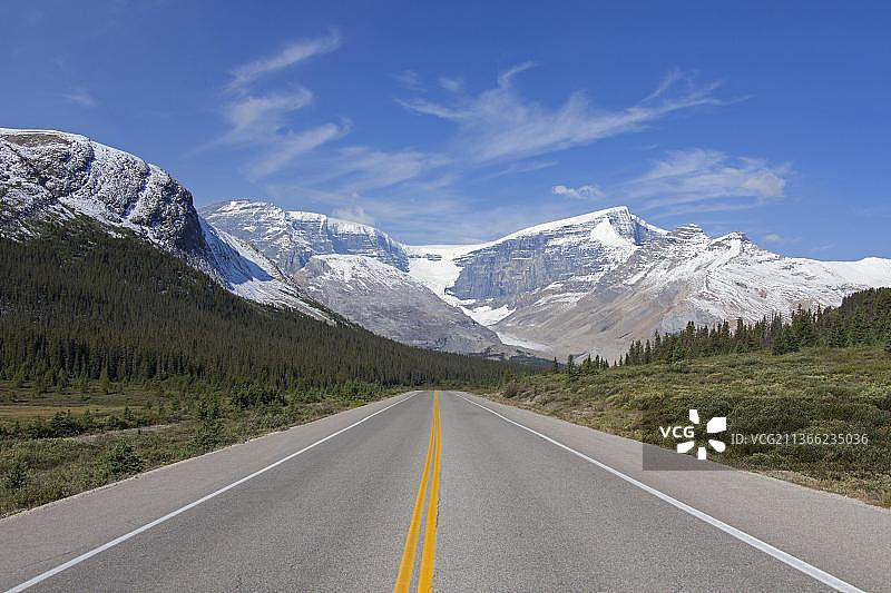 荒凉冰原公园路，93号公路，贾斯珀国家公园，阿尔伯塔，加拿大，北美图片素材