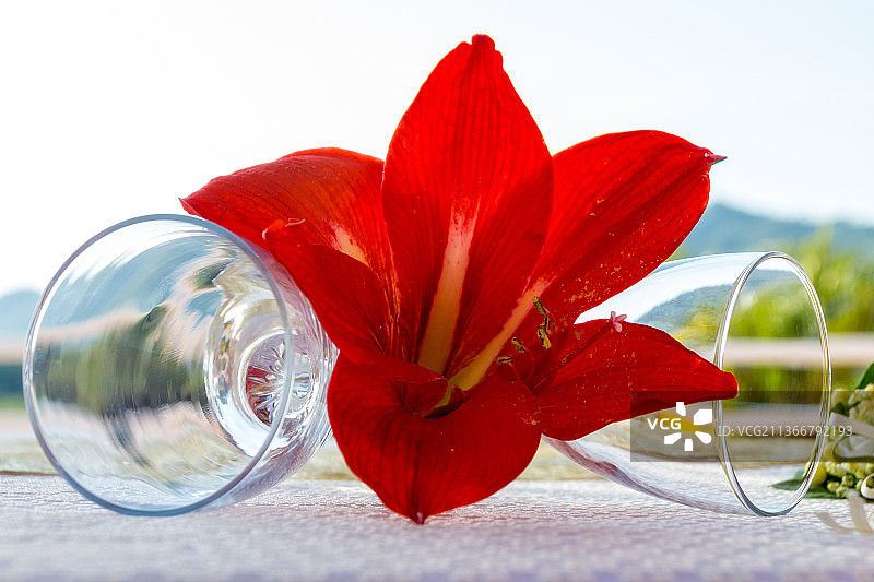 在古巴的哈那巴尼拉岛，红色的花朵和酒杯在桌子上的天空衬托下的特写图片素材