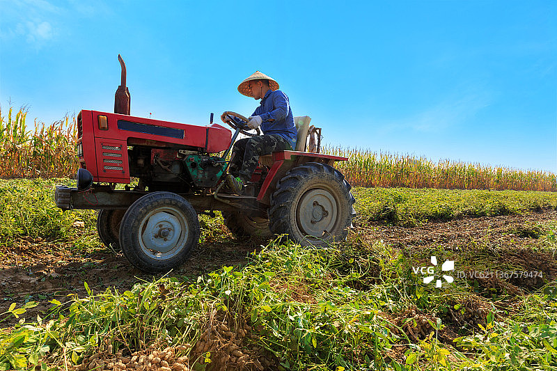 秋收季节农民开着拖拉机在农田里劳作图片素材
