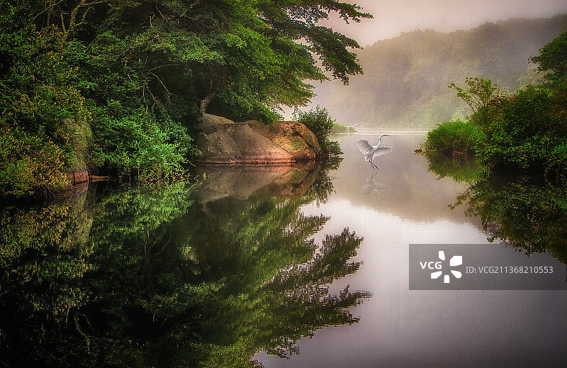 风景如画的河流在森林中，布鲁斯特，马萨诸塞州，美国图片素材