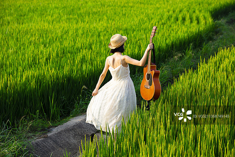年轻女子拿着吉他走在稻田里图片素材