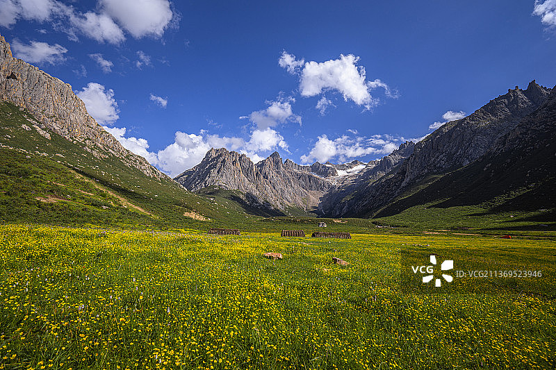 青藏高原的高山草原图片素材