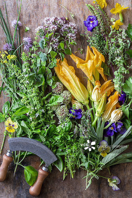 花园香草和食用花图片素材