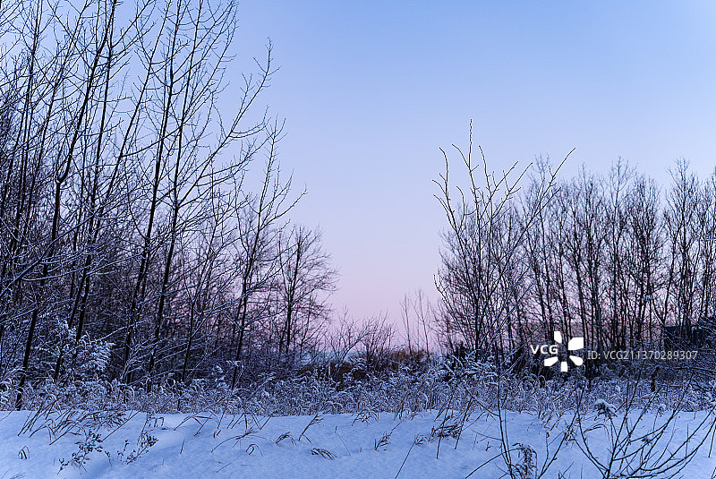 冬天的早晨，多伦多，安大略省，加拿大图片素材