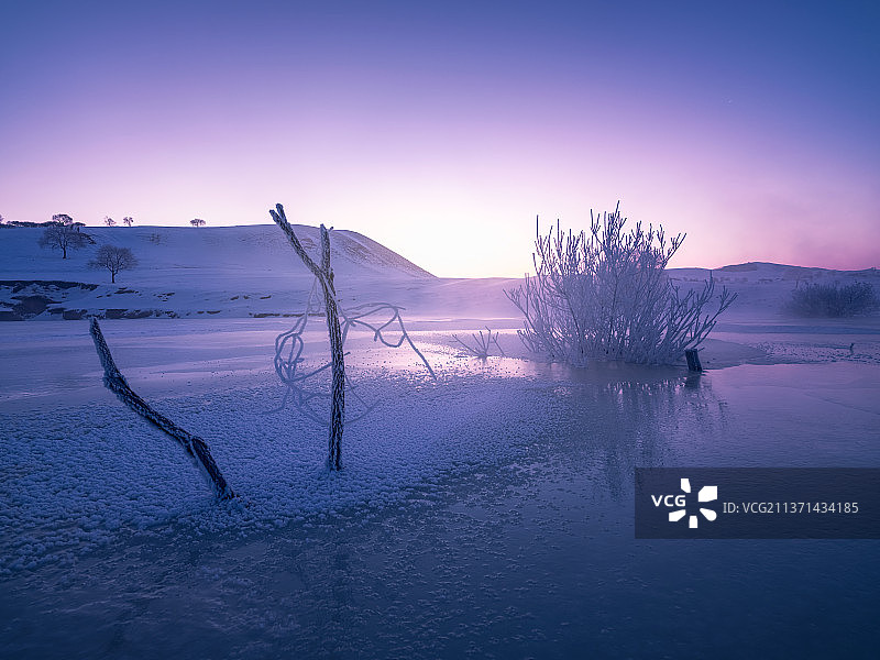 冬季雾凇日出蓝紫色图片素材