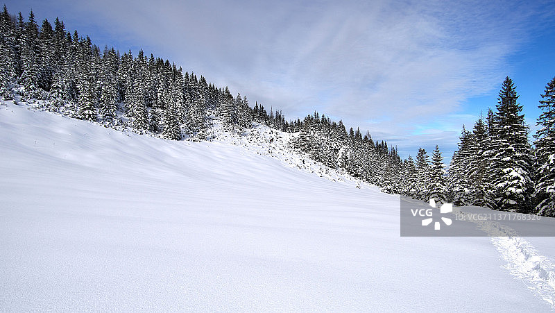Polana Kopieniec，波兰扎科帕内，天空映衬下白雪覆盖的土地上的树木图片素材