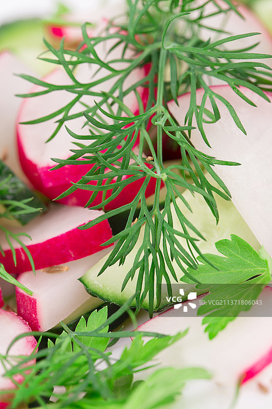 黄瓜萝卜沙拉，餐桌上新鲜香草的特写图片素材