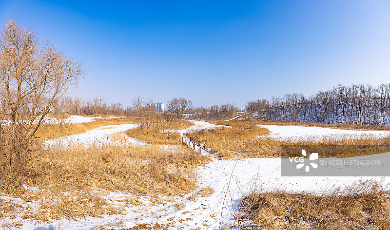 冬天白雪覆盖的湿地公园景色图片素材