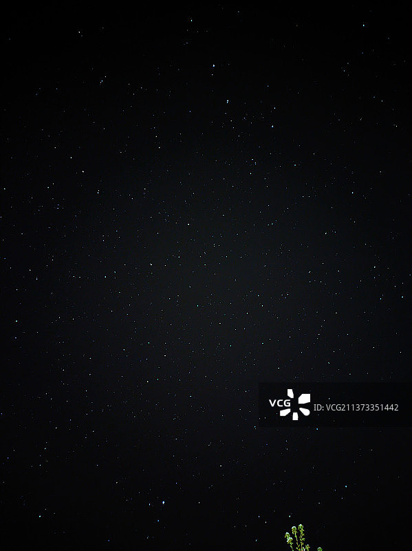 夜间星场的低角度视图图片素材
