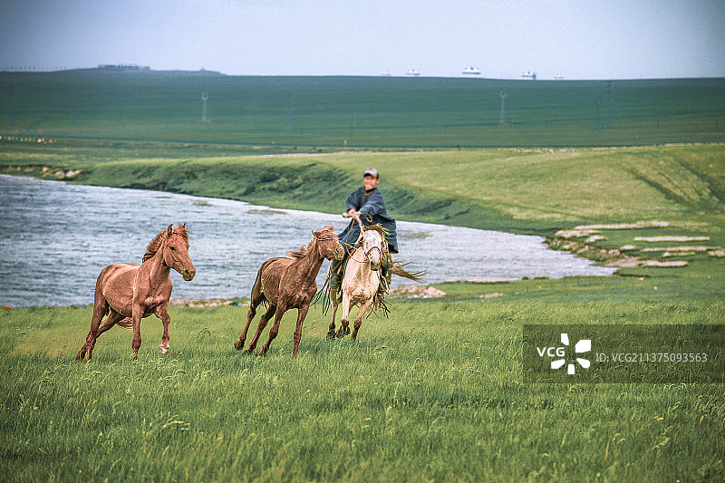 内蒙古呼伦贝尔大草原风光美景图片素材
