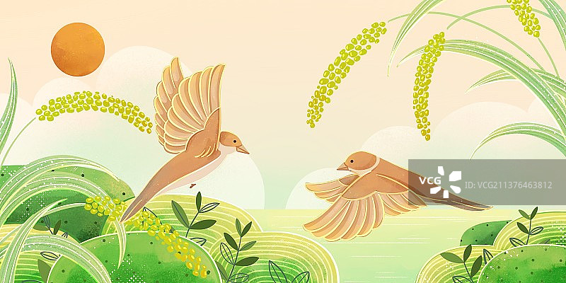 自然风景-田野麻雀与稻穗图片素材
