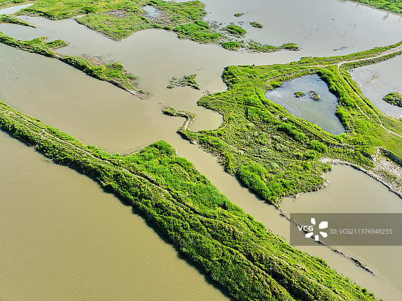 荆山河湿地风光图片素材