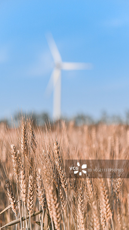 草原上的风力发电机图片素材