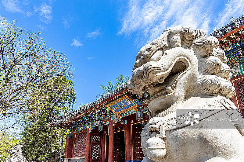春天四月北京大学的西校门校名匾额石狮子图片素材