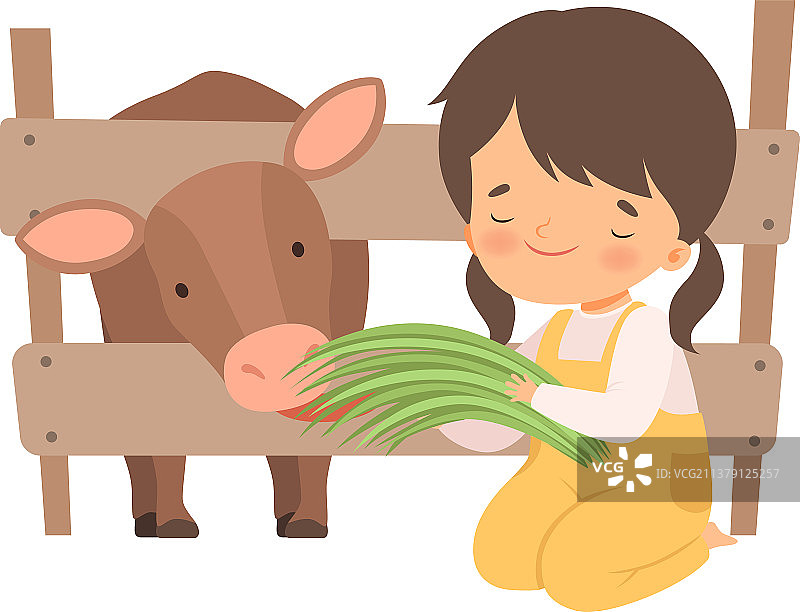 可爱的小女孩喂小牛吃草可爱极了图片素材