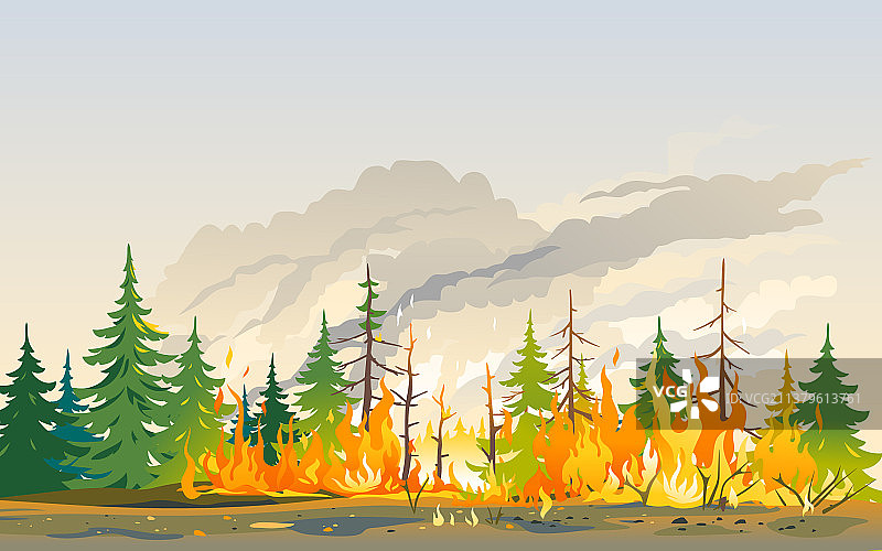 火烧森林自然灾害景观图片素材
