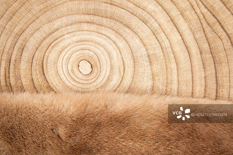 木质背景的毛皮地毯质量高图片素材