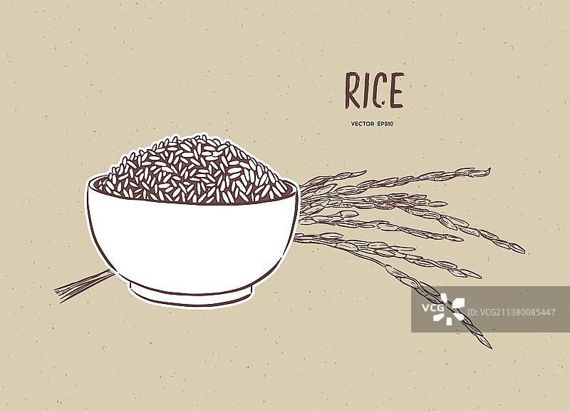 米饭在碗里用米枝手绘草图图片素材