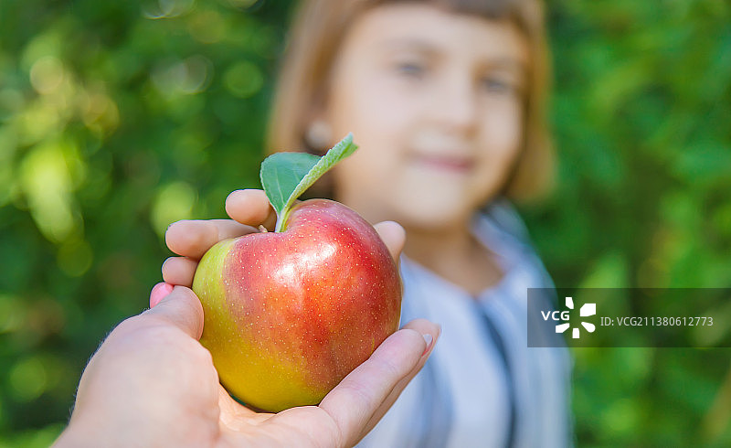 在花园里拿着苹果的孩子选择性的集中注意力图片素材