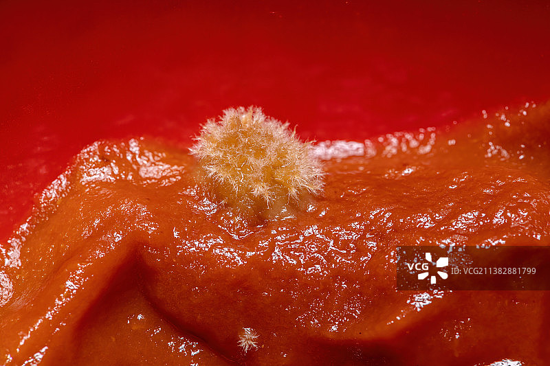 发霉的番茄酱图片素材