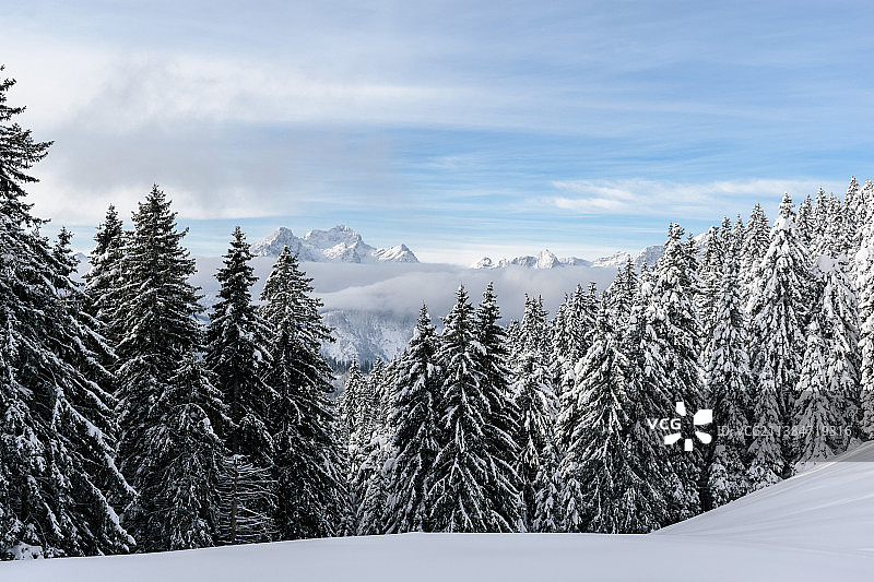 白色的福里斯特，雪山映衬着天空的风景，斯洛文尼亚图片素材