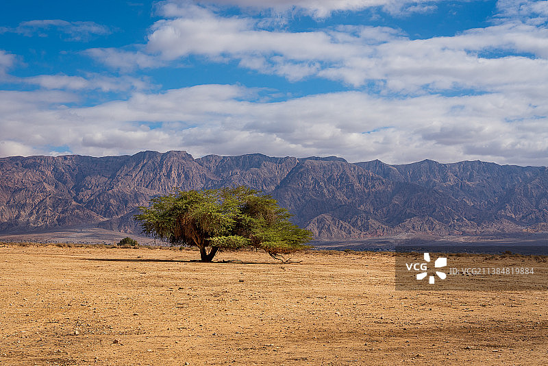 冬天的沙漠，风景如画的田野对着天空，以色列图片素材