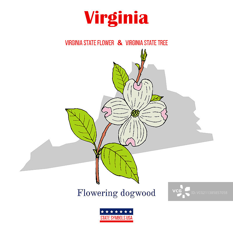 弗吉尼亚州是美国的官方州徽图片素材